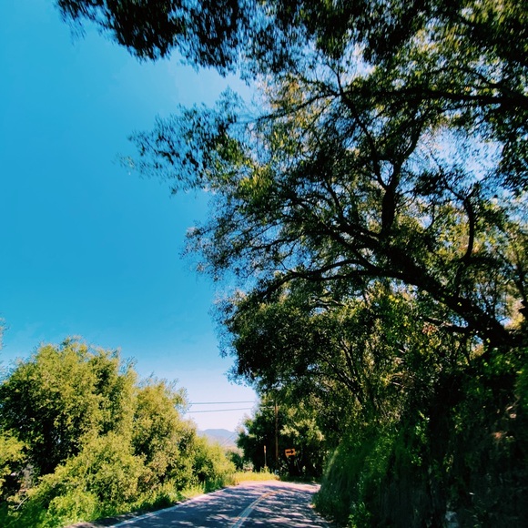 Meet your posher, Kylee. - Picture 2 of 2